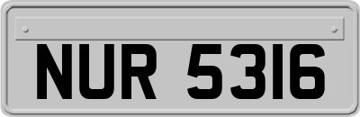 NUR5316