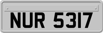 NUR5317