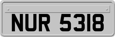 NUR5318