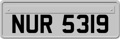 NUR5319
