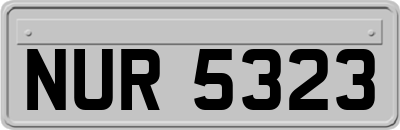 NUR5323