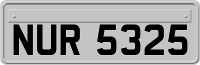 NUR5325