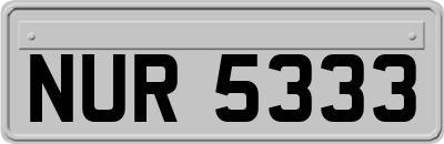 NUR5333