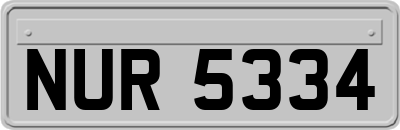 NUR5334