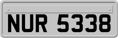 NUR5338