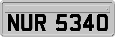 NUR5340