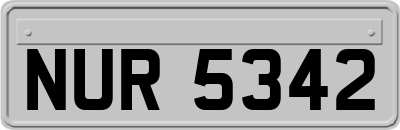 NUR5342