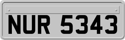 NUR5343