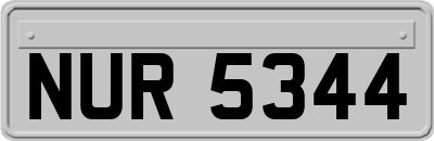 NUR5344