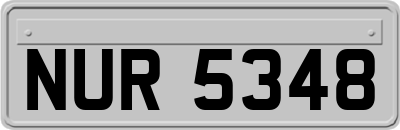 NUR5348