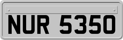 NUR5350