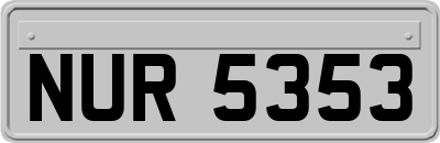 NUR5353