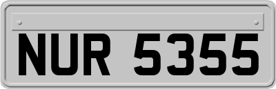 NUR5355