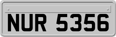 NUR5356