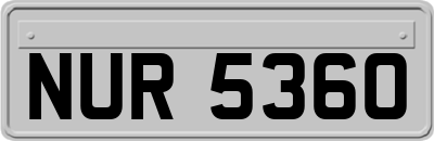 NUR5360