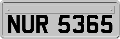 NUR5365