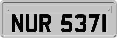 NUR5371