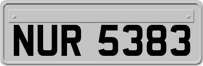 NUR5383