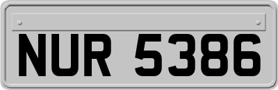 NUR5386