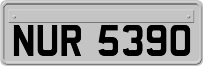 NUR5390