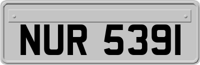 NUR5391