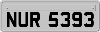 NUR5393