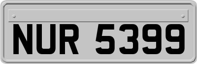 NUR5399