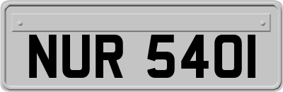 NUR5401