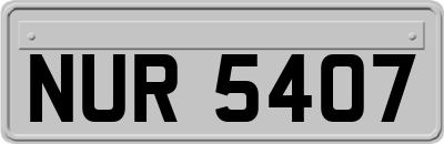 NUR5407