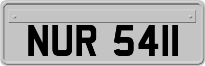 NUR5411