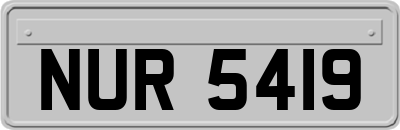 NUR5419