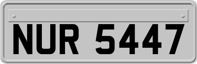 NUR5447