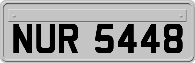 NUR5448