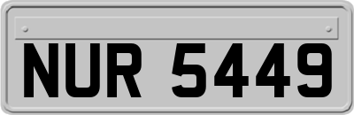 NUR5449