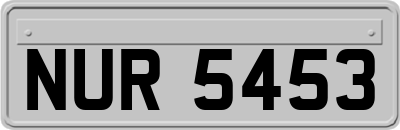 NUR5453