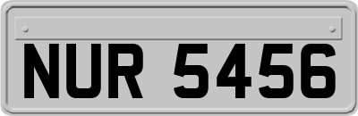NUR5456
