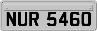 NUR5460