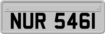 NUR5461
