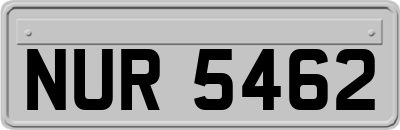NUR5462