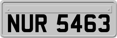 NUR5463