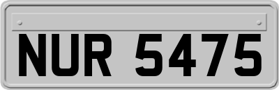 NUR5475