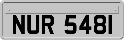 NUR5481