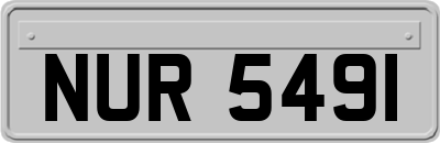 NUR5491