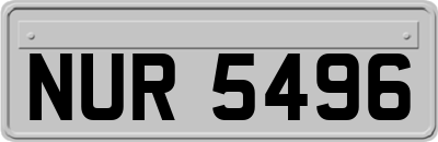 NUR5496