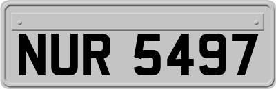 NUR5497