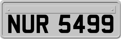 NUR5499