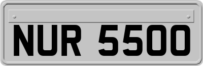NUR5500