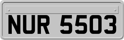 NUR5503
