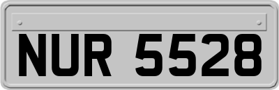 NUR5528