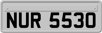 NUR5530